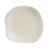 Steelite 7002DD025 Plate 9-1/2" Break Resistant