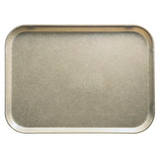 A rectangular, metallic Camtray with rounded corners and slightly raised edges. Made from high-impact fiberglass, its textured, brushed surface is both reflective and durable. The tray is empty and photographed against a plain white background.