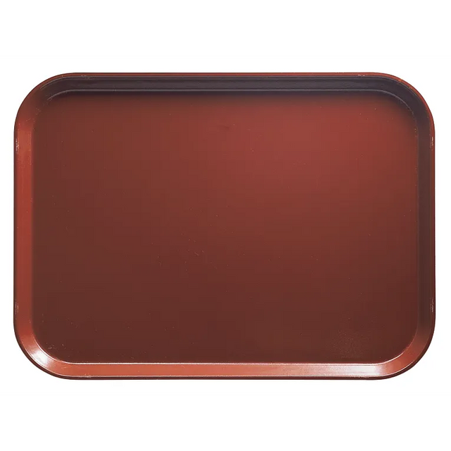 A rectangular Camtray made from high-impact fiberglass with rounded corners and slightly raised edges is centered on a white background. The smooth, unadorned surface has a subtle sheen, and the tray is dishwasher safe.