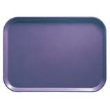 A plain, rectangular Camtray with rounded corners and shallow raised edges is shown from above. The solid purple fiberglass tray has a slightly glossy finish with subtle scratches on its surface. The background is white.