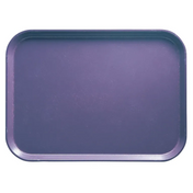 A plain, rectangular Camtray with rounded corners and shallow raised edges is shown from above. The solid purple fiberglass tray has a slightly glossy finish with subtle scratches on its surface. The background is white.