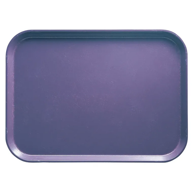 A plain, rectangular Camtray with rounded corners and shallow raised edges is shown from above. The solid purple fiberglass tray has a slightly glossy finish with subtle scratches on its surface. The background is white.
