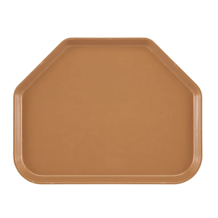 A brown Camtray with a unique house-like silhouette features raised edges and a smooth, flat surface. Made from high-impact fiberglass, this tray is durable and dishwasher safe. The background is plain white.
