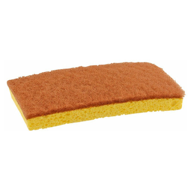 Private Label 1591032 Sponge Scrubbing Walnutpad