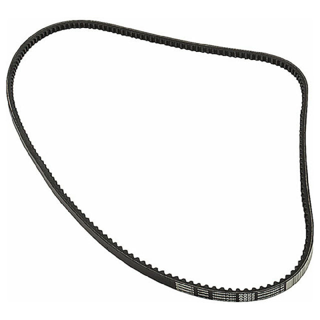 Private Label 1591152 Belt Ax55