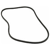 Private Label 1591156 Belt Ax56