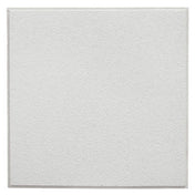 AllPoints 1591173 Tile Ceiling 2'x2'x3/4" 12/cs
