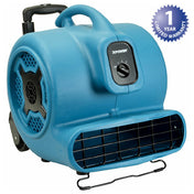 AllPoints 1591214 115v Blue Floor Dryer Xpower 2 800 Cfm