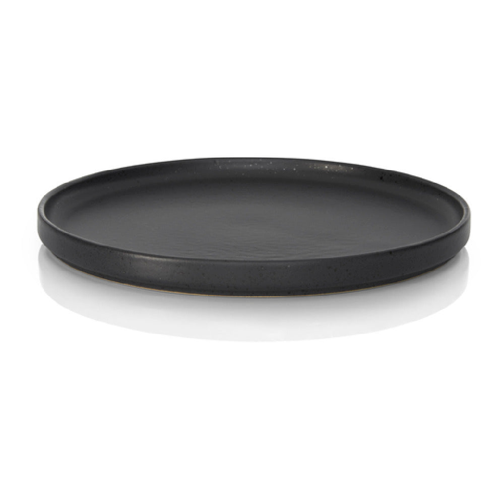 BauscherHepp 53.0047.0102 Flat Plate 10.2" Dia. Round