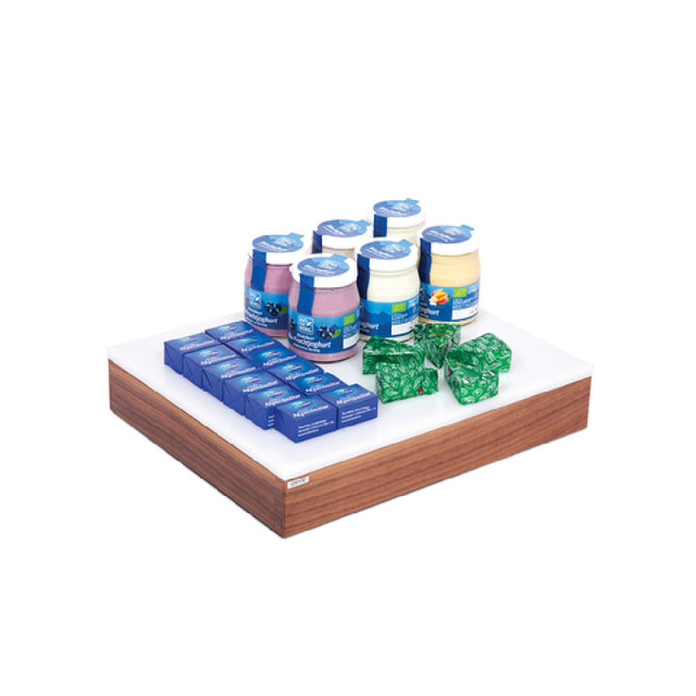 Service Ideas 15A11311 Ze Pe Buffet Serving Tray 10.4"D X 12.8"W X 5"H Display 11"
