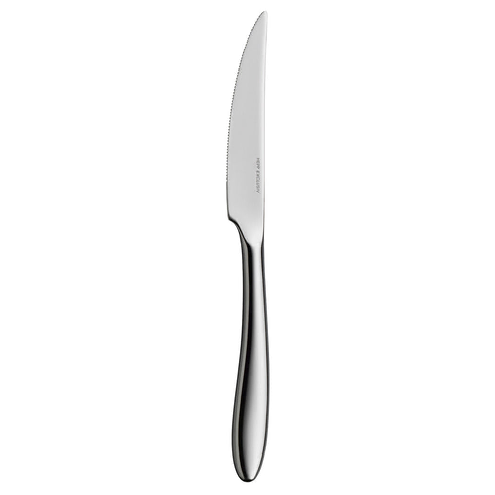 BauscherHepp 56.1478.6049 Steak Knife 9.8" 13/0 Stainless Steel