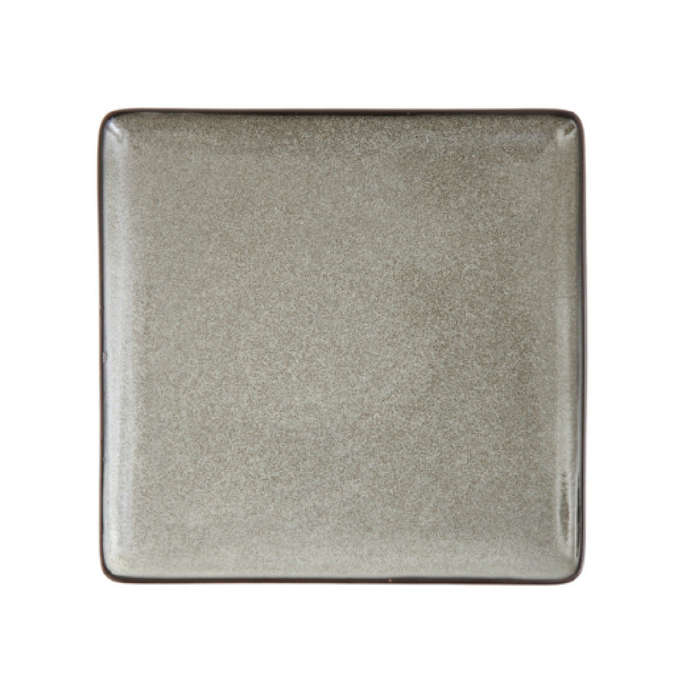 Fortessa 5900.GRY.3872 Ston Mist Plate 9" Dishwasher Safe