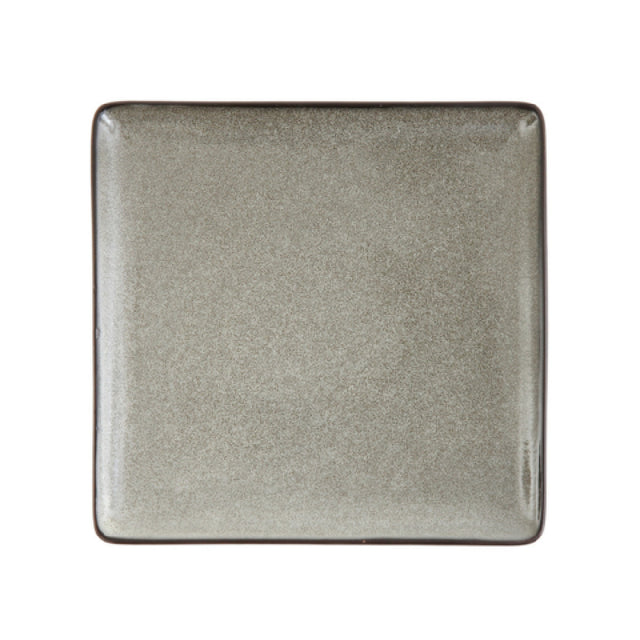 Fortessa 5900.GRY.3872 Ston Mist Plate 9" Dishwasher Safe
