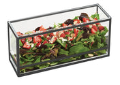 A transparent rectangular Cal-Mil glass box with a black metal frame showcases mixed green salad, strawberries, cheese, and almond slivers—an elegant presentation display set against a white background.