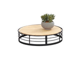 The Madison round coffee table features a light wood top and black metal frame base. A small gray pot with a green succulent rests on the table, showcasing its modern reversible design against a plain white background.