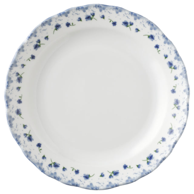 Bauscher Hepp 450025-320399 - Plate, 10" Dia., Flat