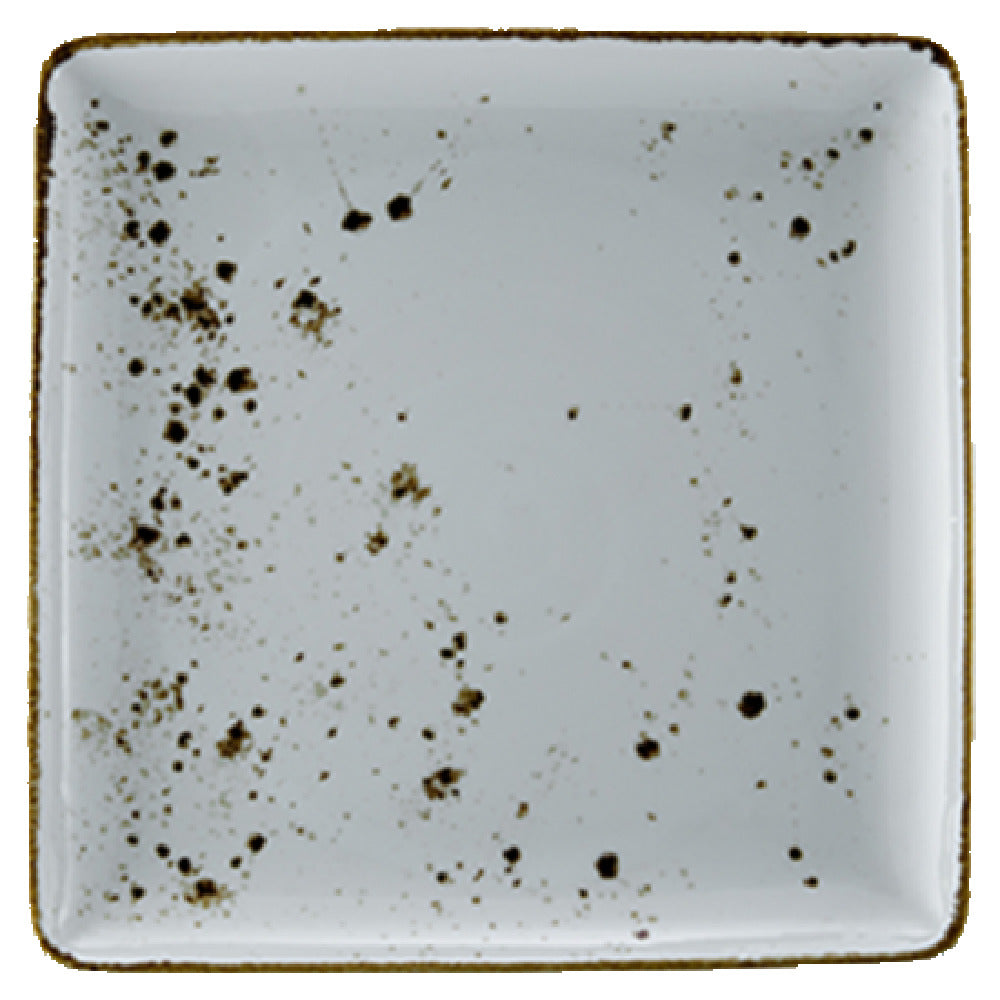 Vertex China LTW-Q22 Plate 8-1/2" X 8-1/2" Square