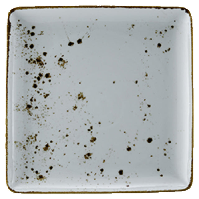 Vertex China LTW-Q22 Plate 8-1/2" X 8-1/2" Square