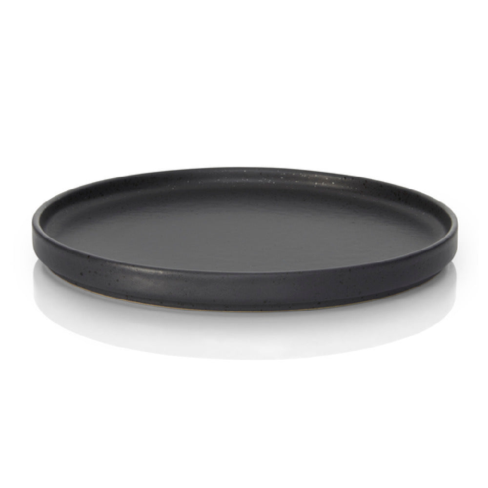 BauscherHepp 53.0046.0102 Flat Plate 8.7" Dia. Round