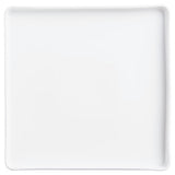 Arc Cardinal L9557 Plate 9-3/8" Square