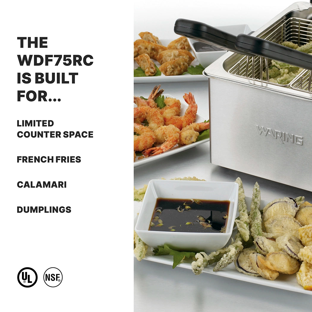 A stainless steel fryer with two baskets sits beside plates of tempura, shrimp, French fries, calamari, and dumplings. A small dish of soy sauce is at the front. Text lists Countertop Deep Fryer features and recommended foods. UL and NSF logos appear below.