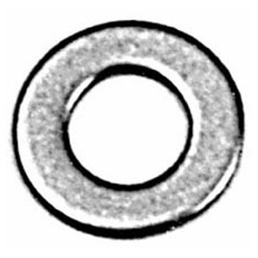 Private Label 261155 Flat Washer (bx 100) #10 Sae 18 8 Ss