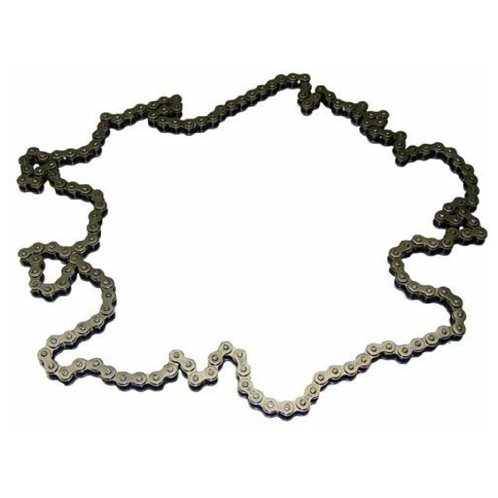APW 2P-21748505 Drive Chain
