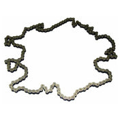 APW 2P-21748505 Drive Chain