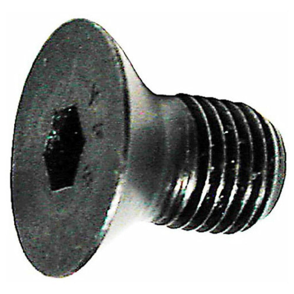 Berkel 2175-00088 Screw Cap