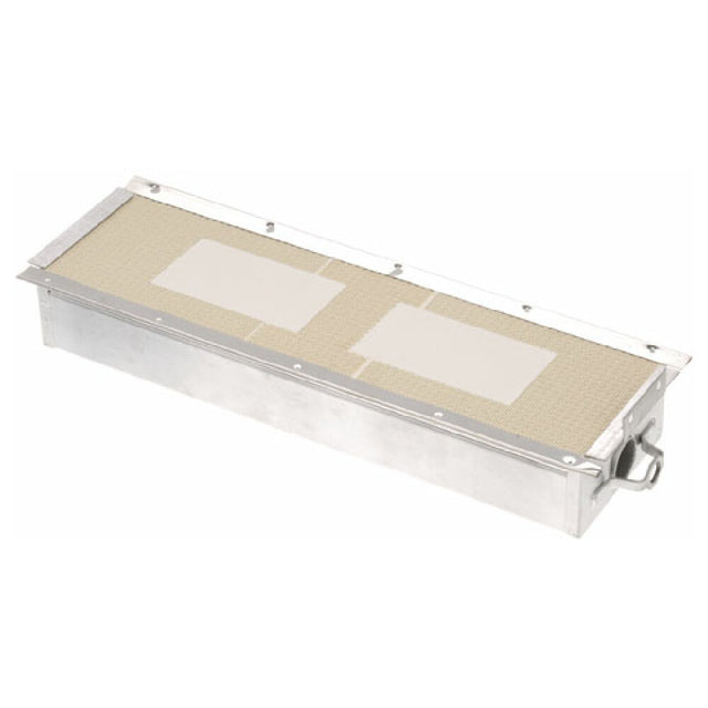 Randell RD100-02 Ir Burner Nat