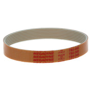 Globe 55 Drive Belt
