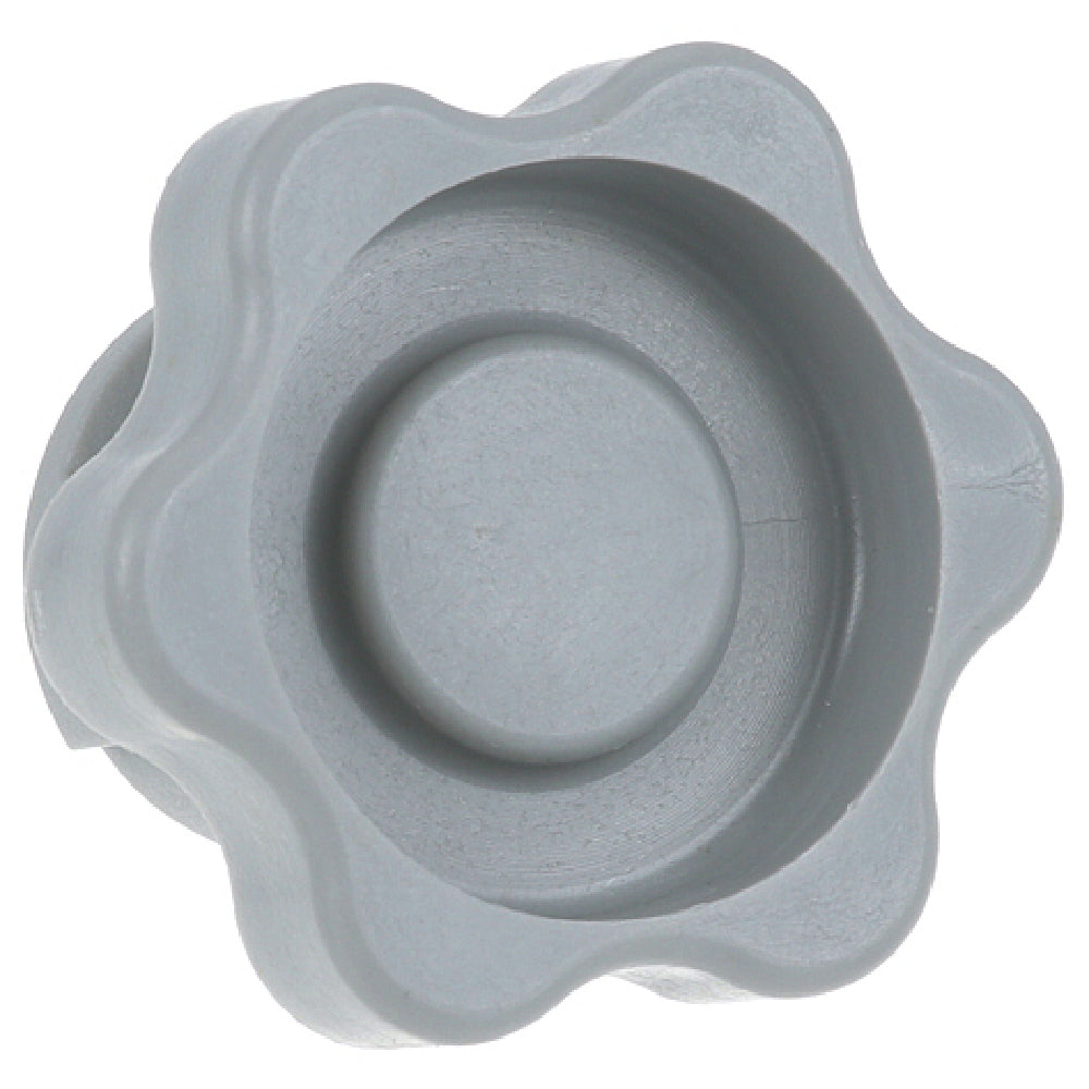 Champion CHA112240 Plug Spraypipe