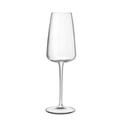 BauscherHepp 13108/01 I Meravigliosi Flute Glass 7 Oz. 2.6" Dia. X 8.3"H