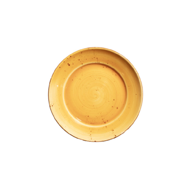 Vertex China LTR-E23 Entrée Bowl 10 Oz. 11-3/4'' Dia.
