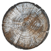 BauscherHepp 711223-360226 Plate 9" Dia. Round
