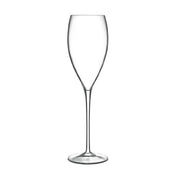 Steelite LB0895906 - Champagne Flute, 11.0 Oz, 3.0" X 10.25"