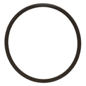 Roundup - AJ Antunes 200121 O Ring
