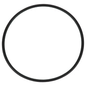 Everpure 3071-19 O Ring