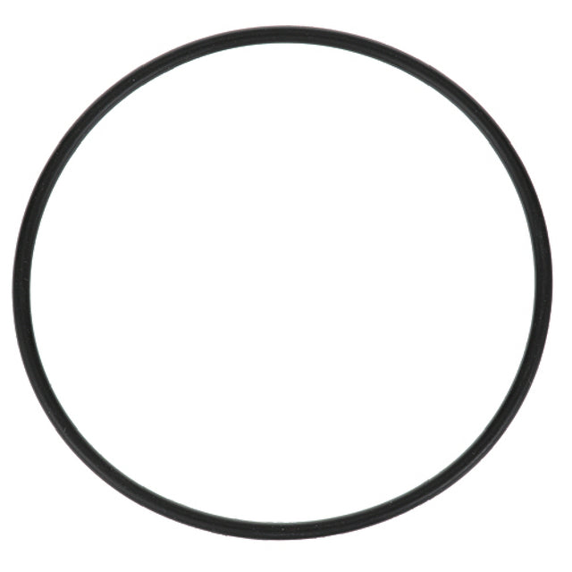 Everpure 3071-19 O Ring