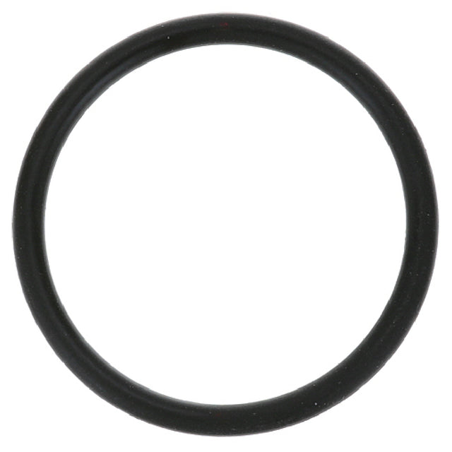 Hoshizaki 7611-G025 O Ring