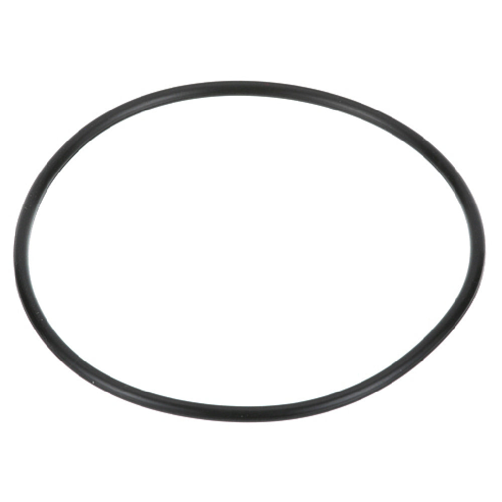 Everpure 1511-20 O Ring
