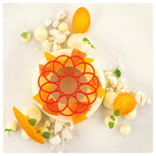JB Prince MA313 CORONA Mold (18) Forms Temperature Range: -40 ° C To + 230 ° C