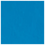 group picture
