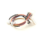 Pitco B6746501 Wire Harness