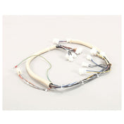 Pitco PTB6747101 Wire Harness