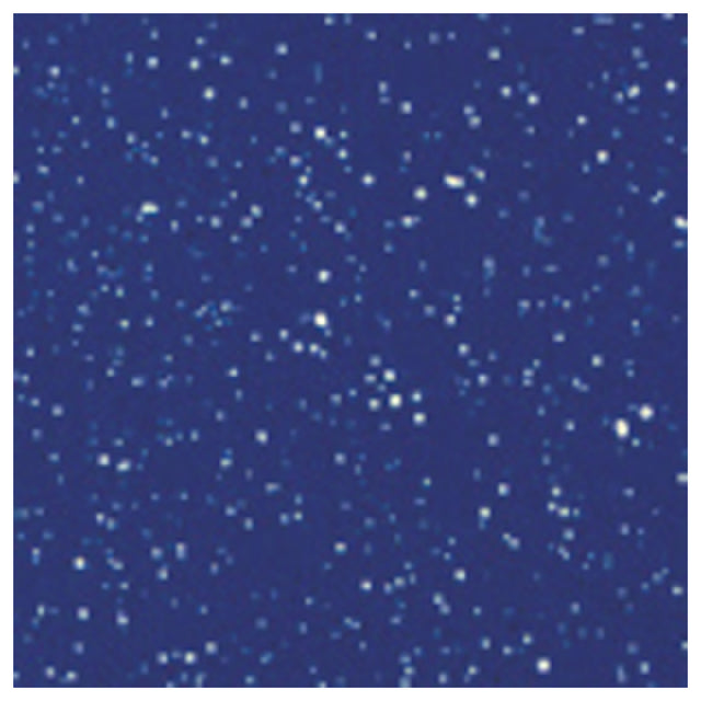 Tablecraft CW1080BS Simple Solutions™ Drop-in Template 12-7/8" X 21-1/4" X 5"