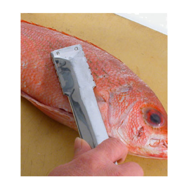 Town 48607 Fish Scaler 9"L Stainless Steel