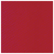 Hatco RED@NLX Warm Red Designer Color Flush Mounted Bezel Only (available At Time Of Purchase Only)