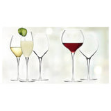 group picture