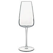 BauscherHepp 12735/01 Champagne/Prosecco Glass 13.5 Oz. 3-1/8" Dia. X 9-5/8"H